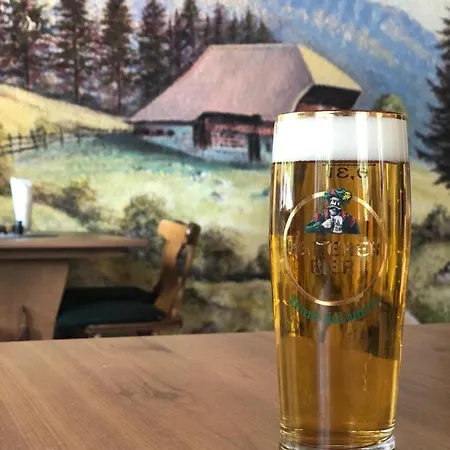 & Restaurant Wanderheim Brandenkopf 호텔