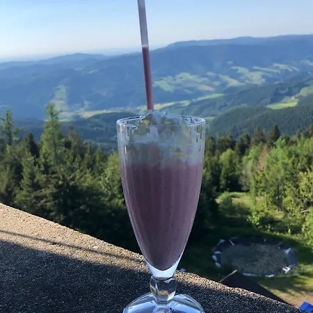 & Restaurant Wanderheim Brandenkopf 호텔 *
