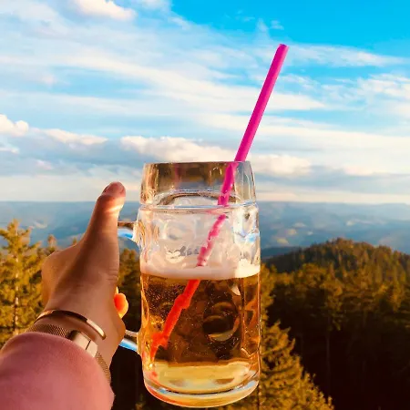호텔 & Restaurant Wanderheim Brandenkopf 오베르하머스바크